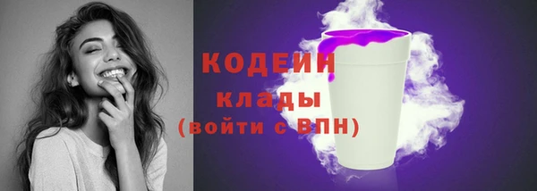 индика Покачи
