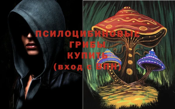 мескалин Алексеевка