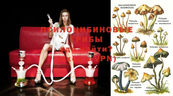 кокс Алзамай